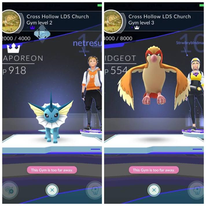 13718617_10154335619382232_5655484110567957105_n